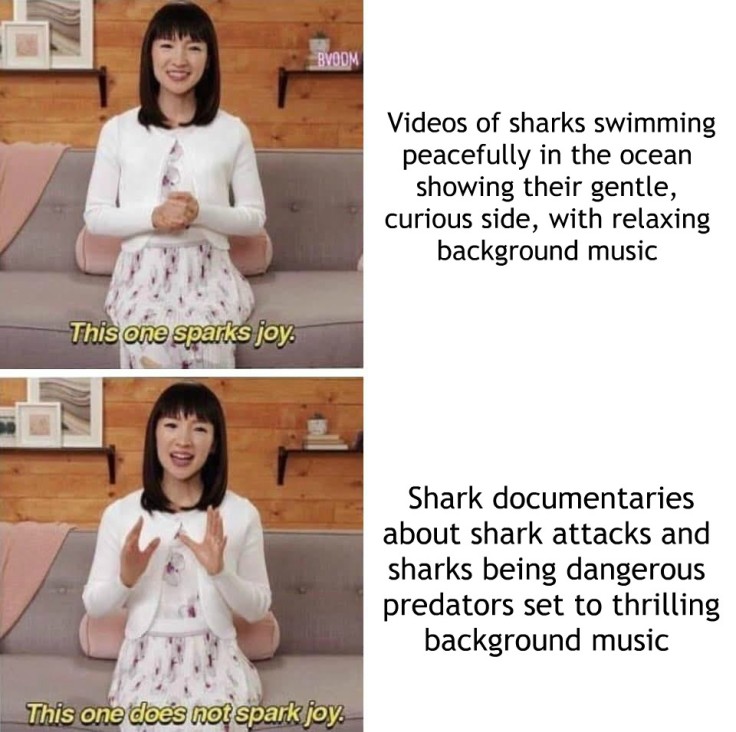 sharks spark joy.jpg